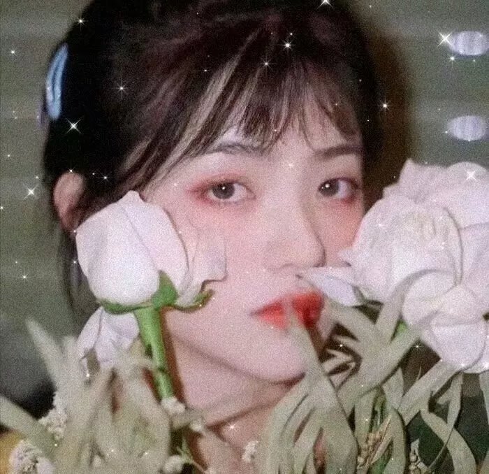 青春芒果夜2018